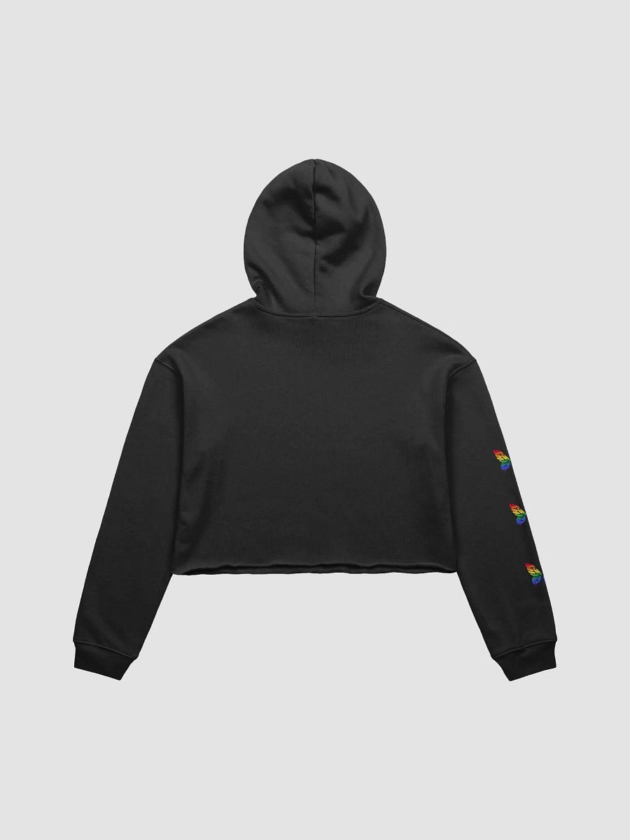 Rainbow Slide Crop Hoodie product image (6)