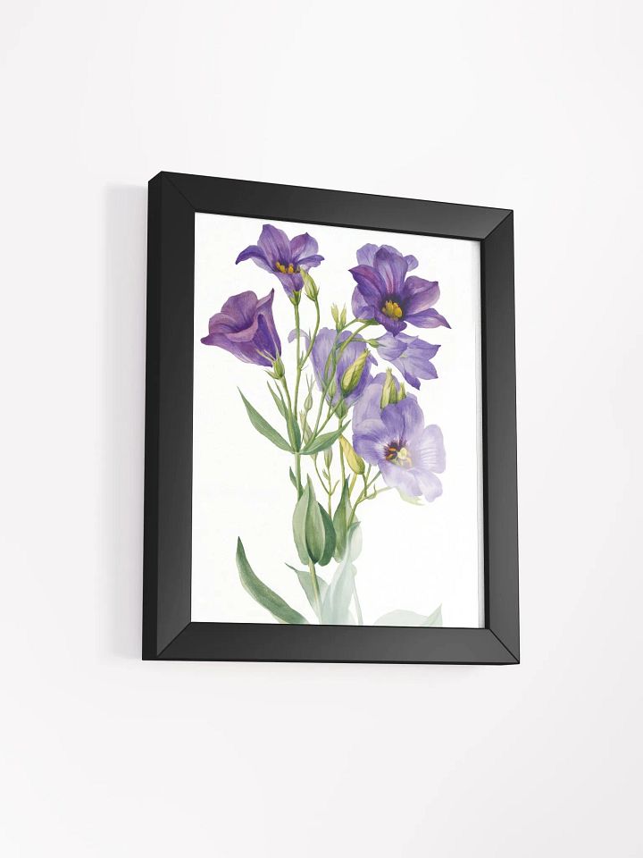 Eustoma Russelianum Wall Art. product image (14)