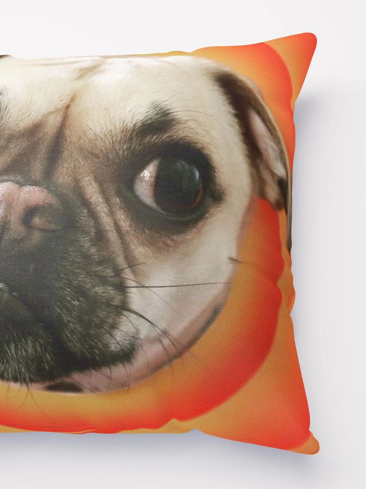 Crash Pillow product image (3)
