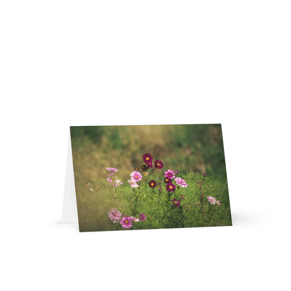 Dreamy Dahlia Field Notecard product image (1)