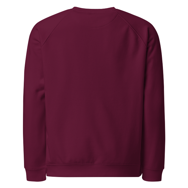 100 % Organic Cotton Raglan Shirt Shirt - I don't break I rebirth product image (2)