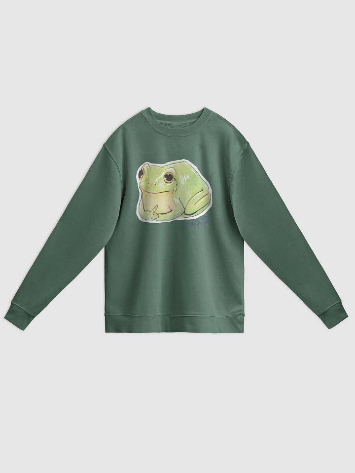 Polite Frog Sweater product image (7)