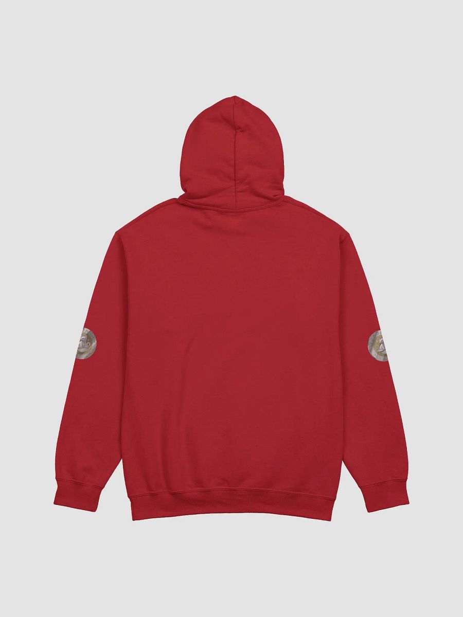Eckonomy Classic Hoodie product image (30)