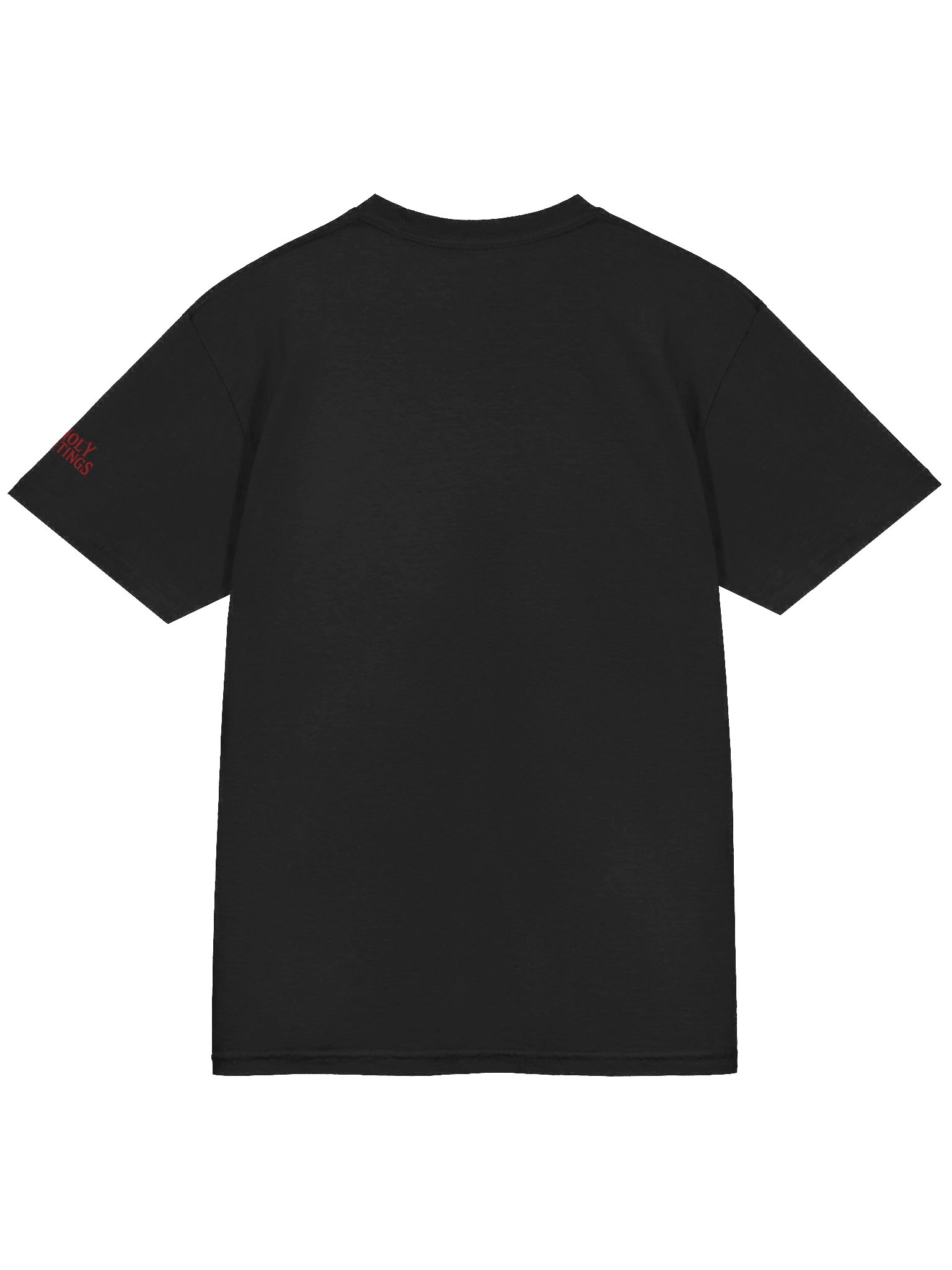 Unholy Hauntings GM Black Tee product image (4)