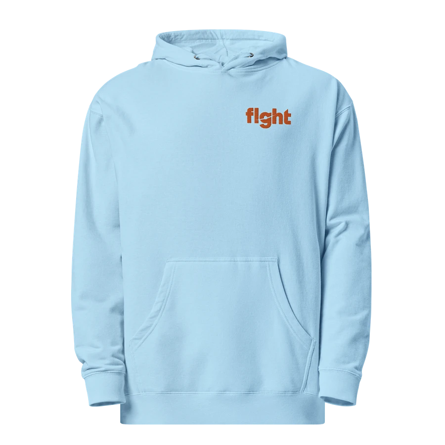 flght Embroidered Hoodie product image (2)