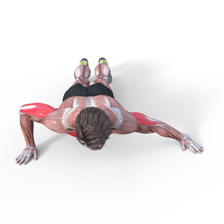 Archer Push-Ups product image (1)