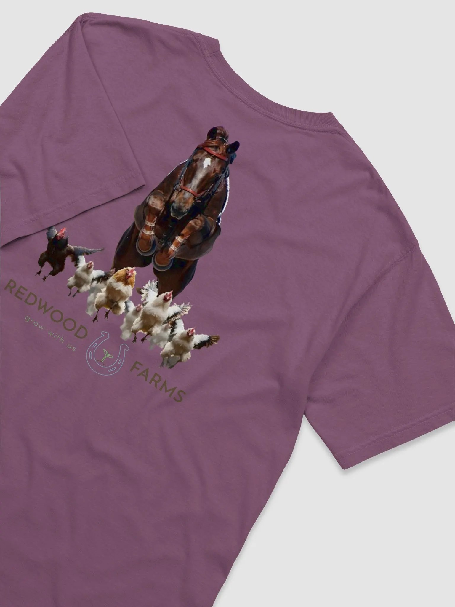Be Extraordinary product image (32)