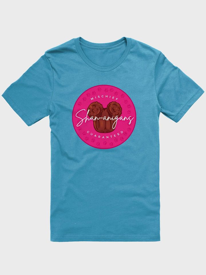 Shan-anigans Logo Bella Soft Tee product image (8)
