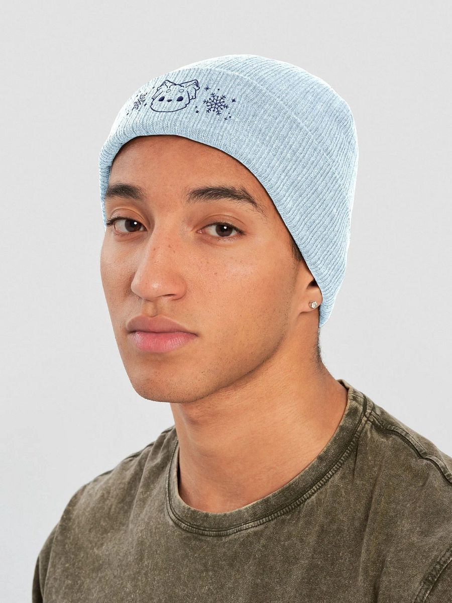 Arctic fox beanie | Arctic dreams product image (5)
