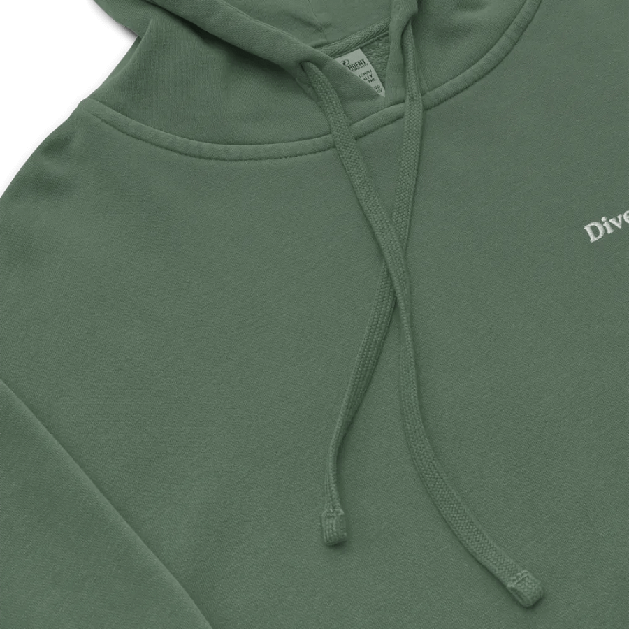 Divergent Voices Basic Embroidered Unisex Hoodie product image (2)
