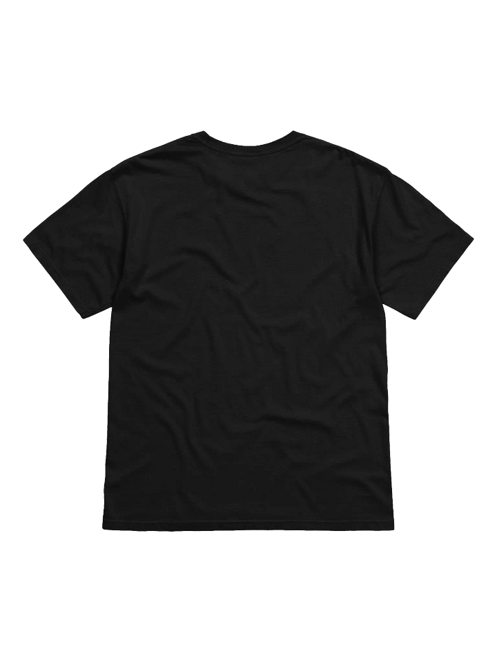 NEW DEW BIG - HEAVYWEIGHT T-SHIRT product image (5)