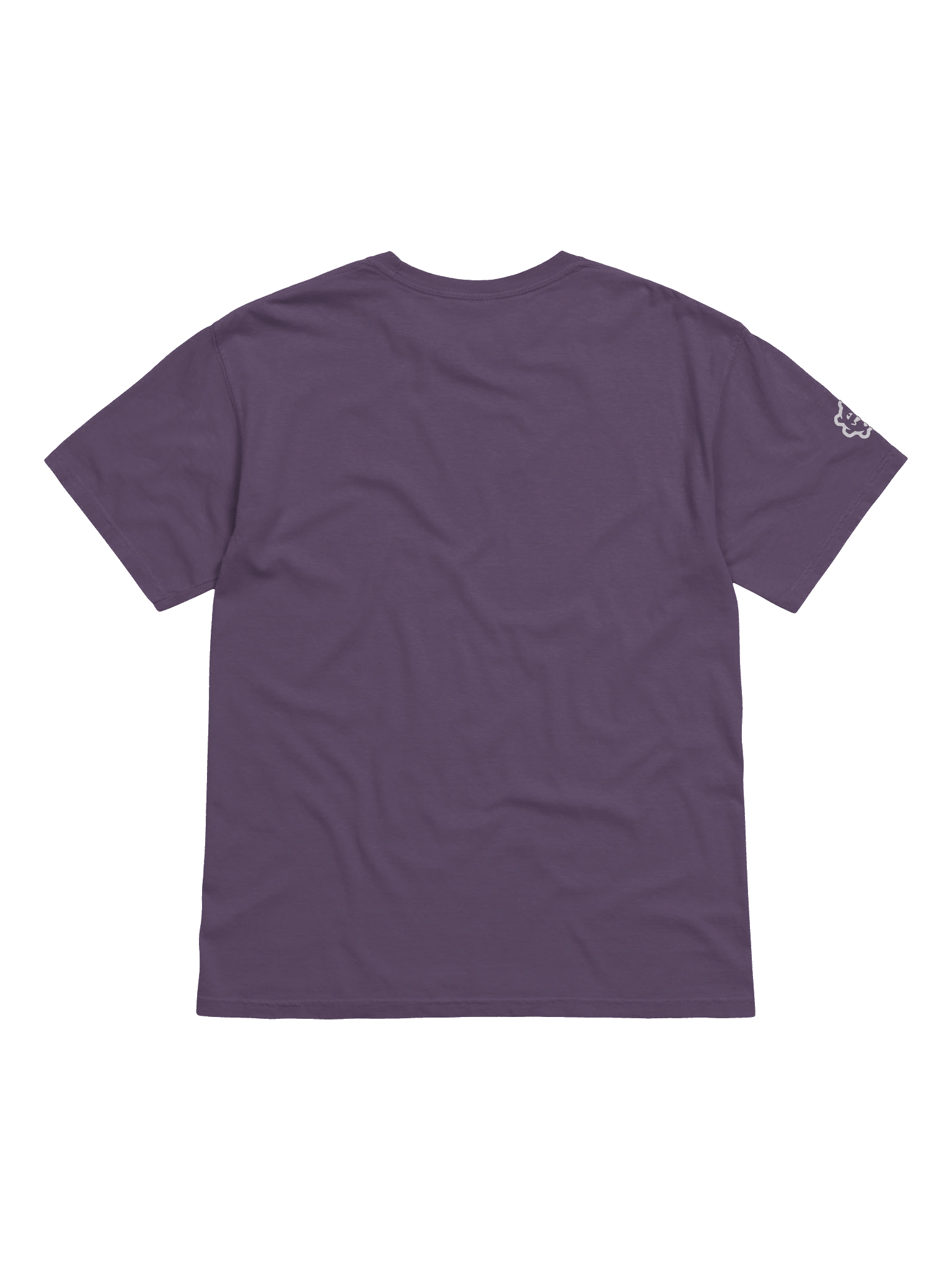 Athletic T-Shirt - Inverted product image (2)