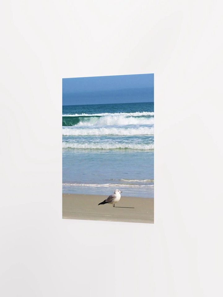 Beach Bird product image (23)
