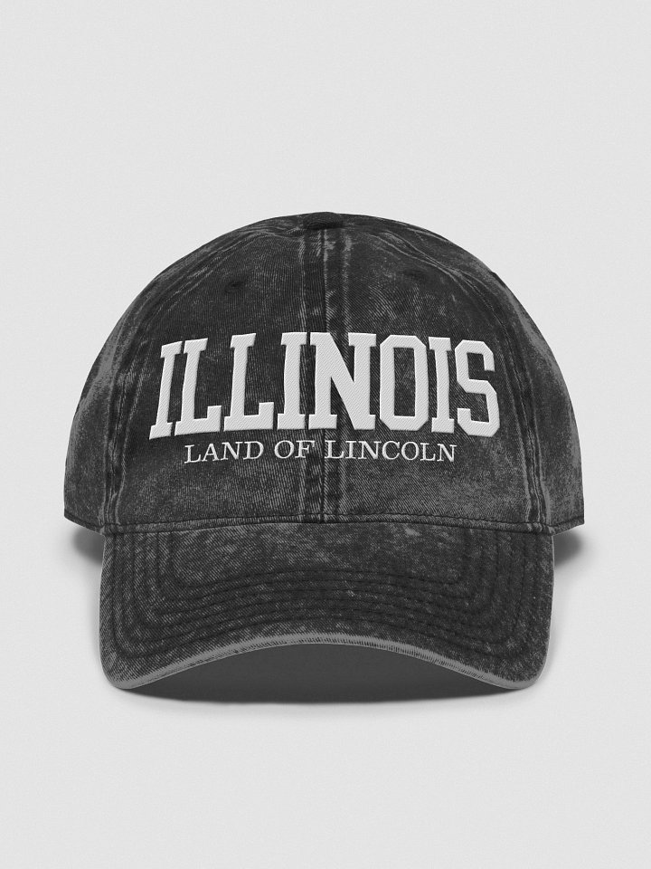 Illinois Land of Lincoln Vintage Dad Hat product image (2)
