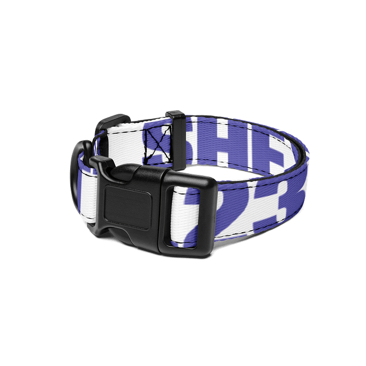pet collar product image (1)