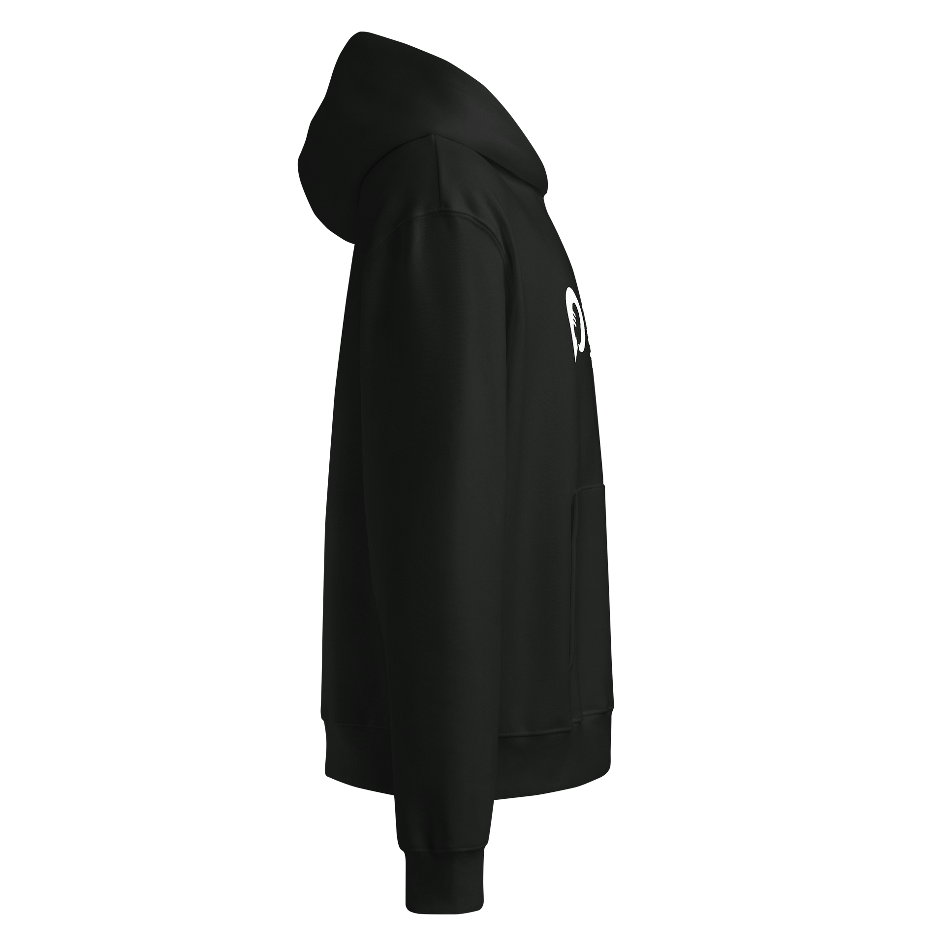 TDT Signature Hoodie product image (4)