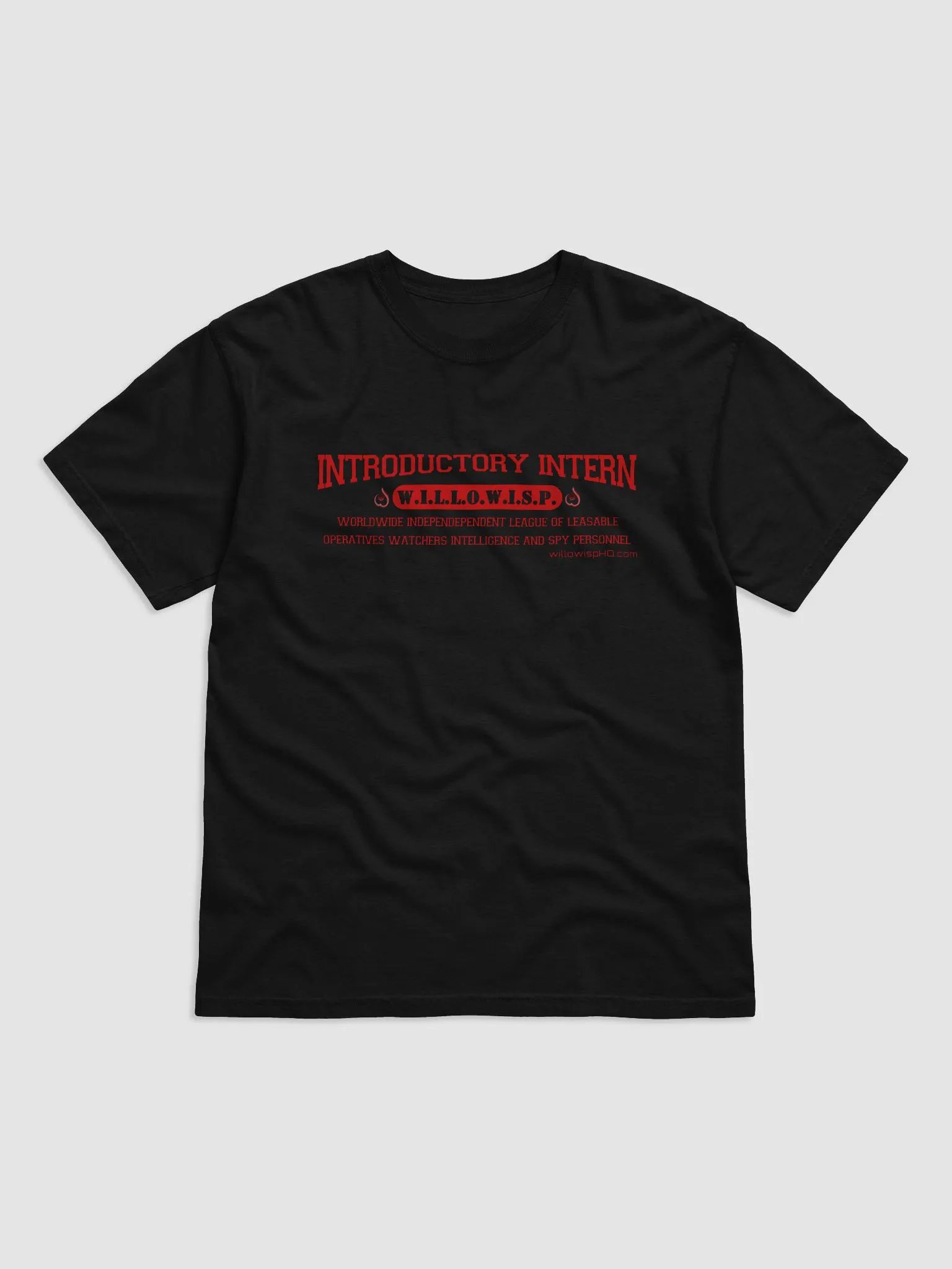 Introductory Intern Varsity Classic Tee product image (1)