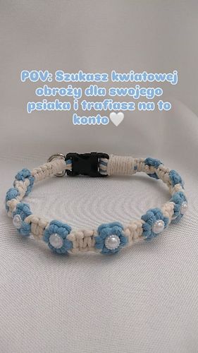 Co sądzicie o niebieskim?🩵🤍

#dogcollar #obrozadlapsa #akcesoriadlapsów #dogcollarshandmade #macramedogcollar #bluefloral #bl...
