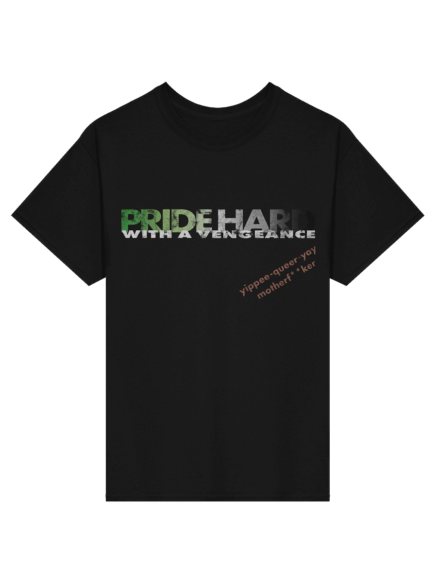 Aromantic "Pride Hard" Tee product image (1)