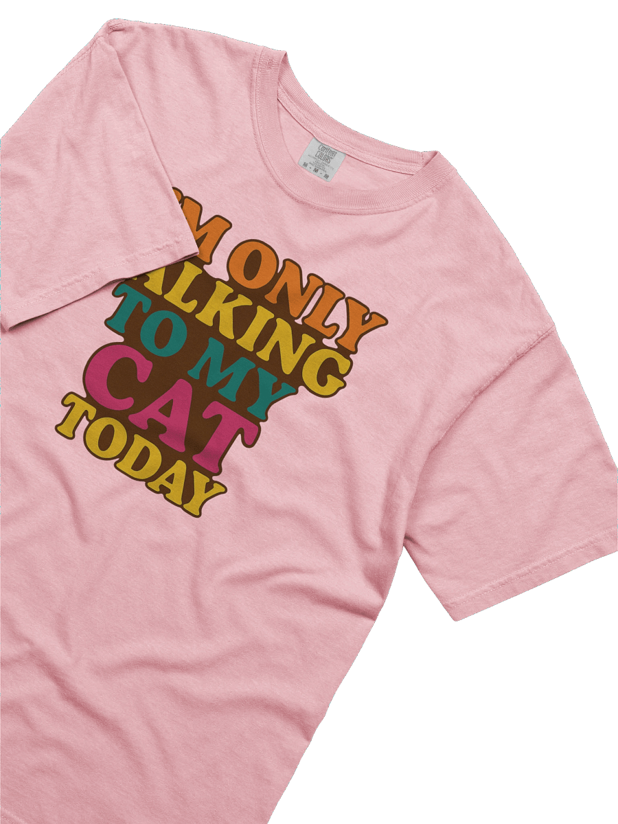 Cat Chat Only Tee product image (49)