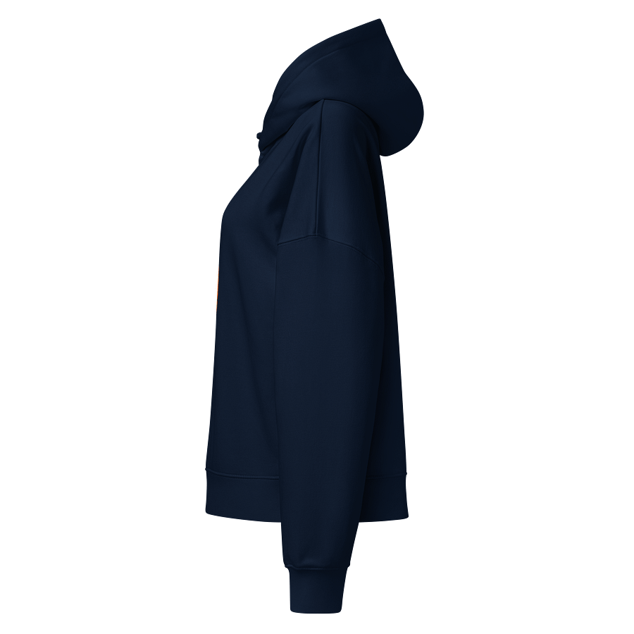 Sunset Serenity Organic Hoodie product image (5)