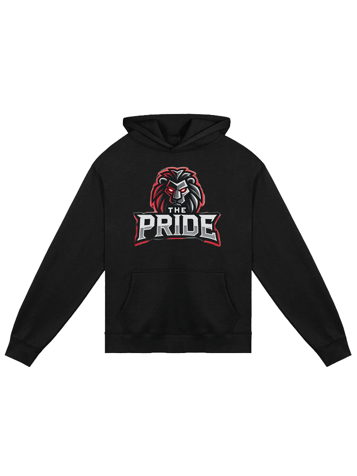 The Pride Hoodie product image (2)