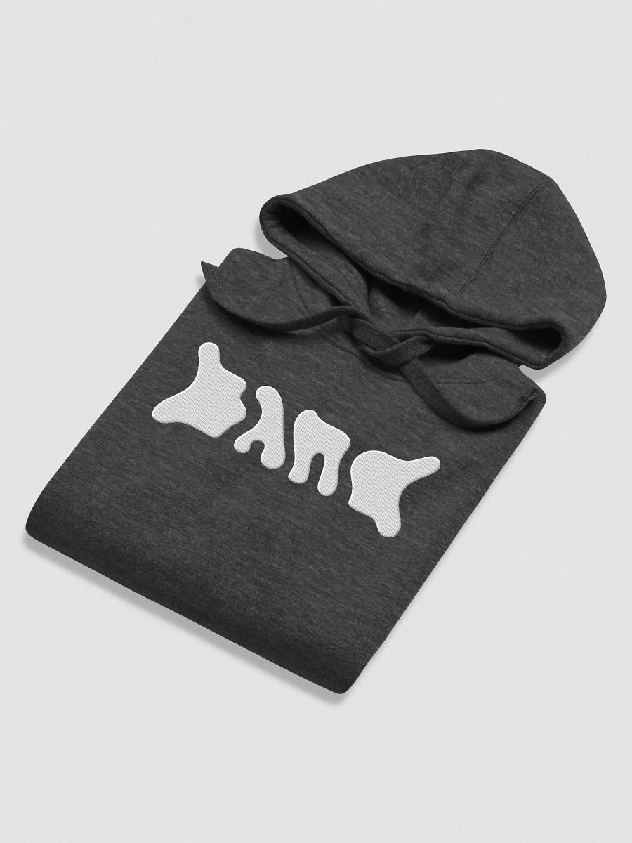 BAND Logo Hoodie Embroidered product image (5)