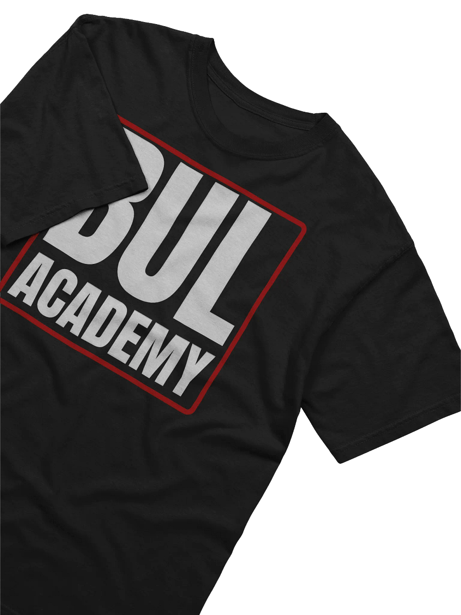 Bul Academy | Comfort Colors Garment-Dyed Heavyweight T-Shirt product image (32)
