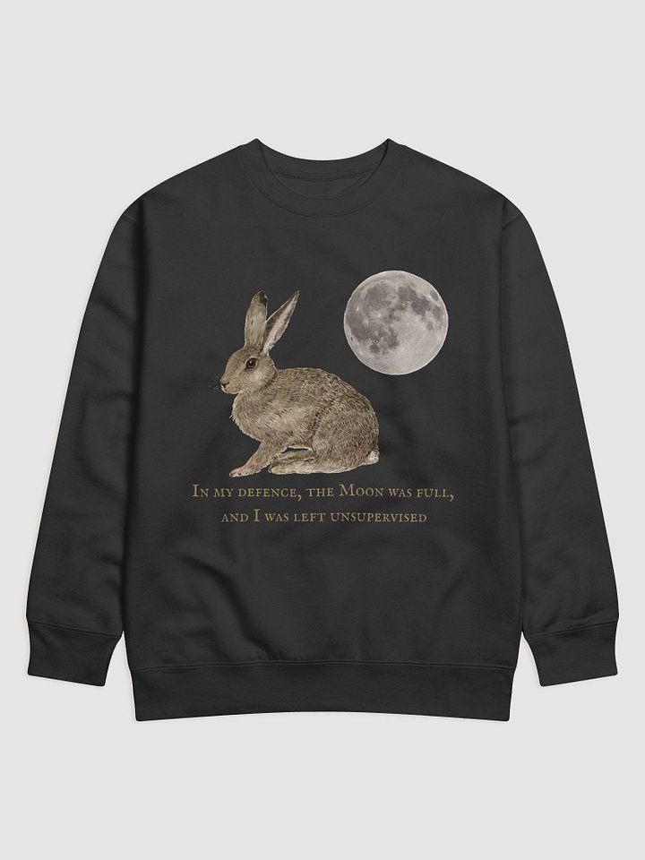 In my defence, the Moon was full... product image (1)