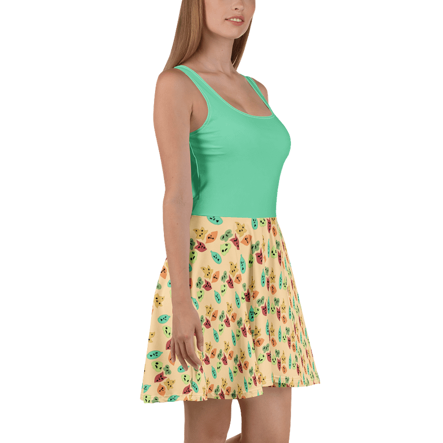 Korok Skater Dress product image (3)