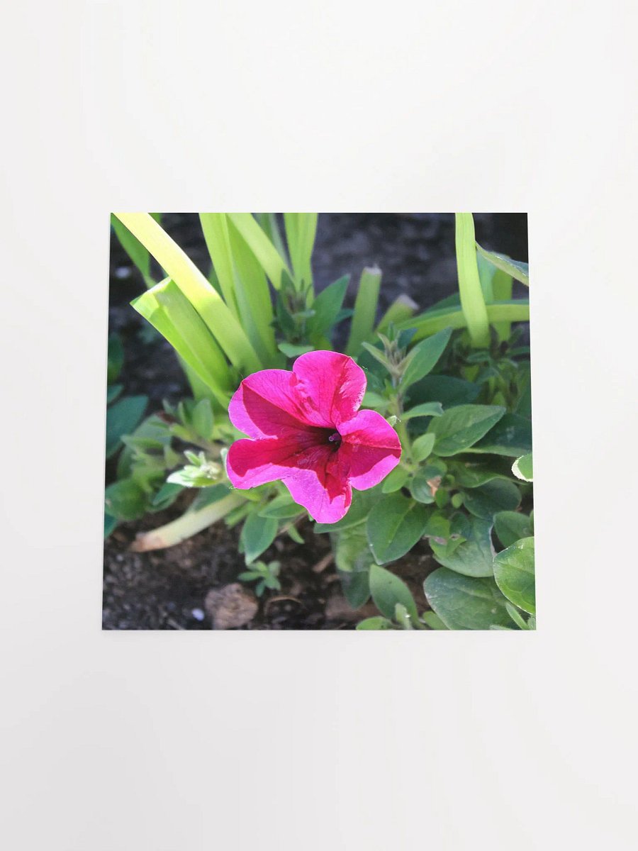 Pink Flower product image (18)