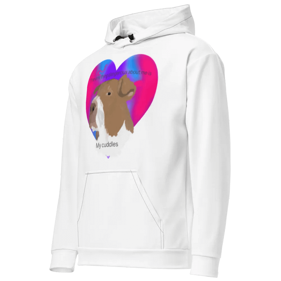 jade hoodie product image (7)