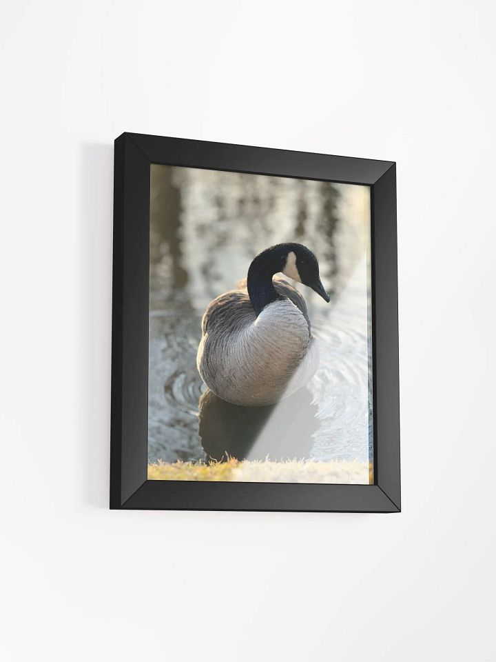 Bruce the Goose print product image (22)