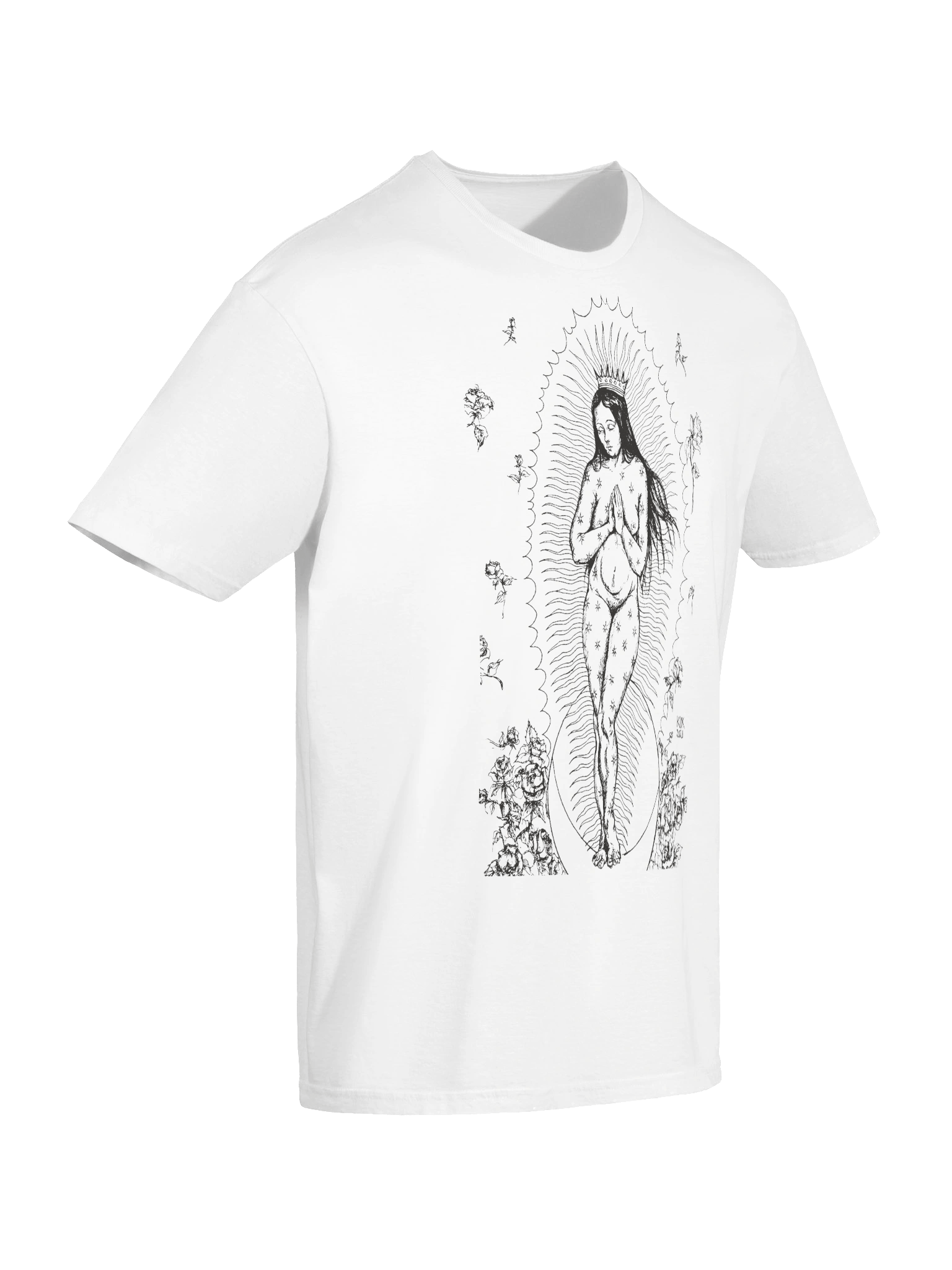 Transfiguration of Virgen to Venus product image (94)