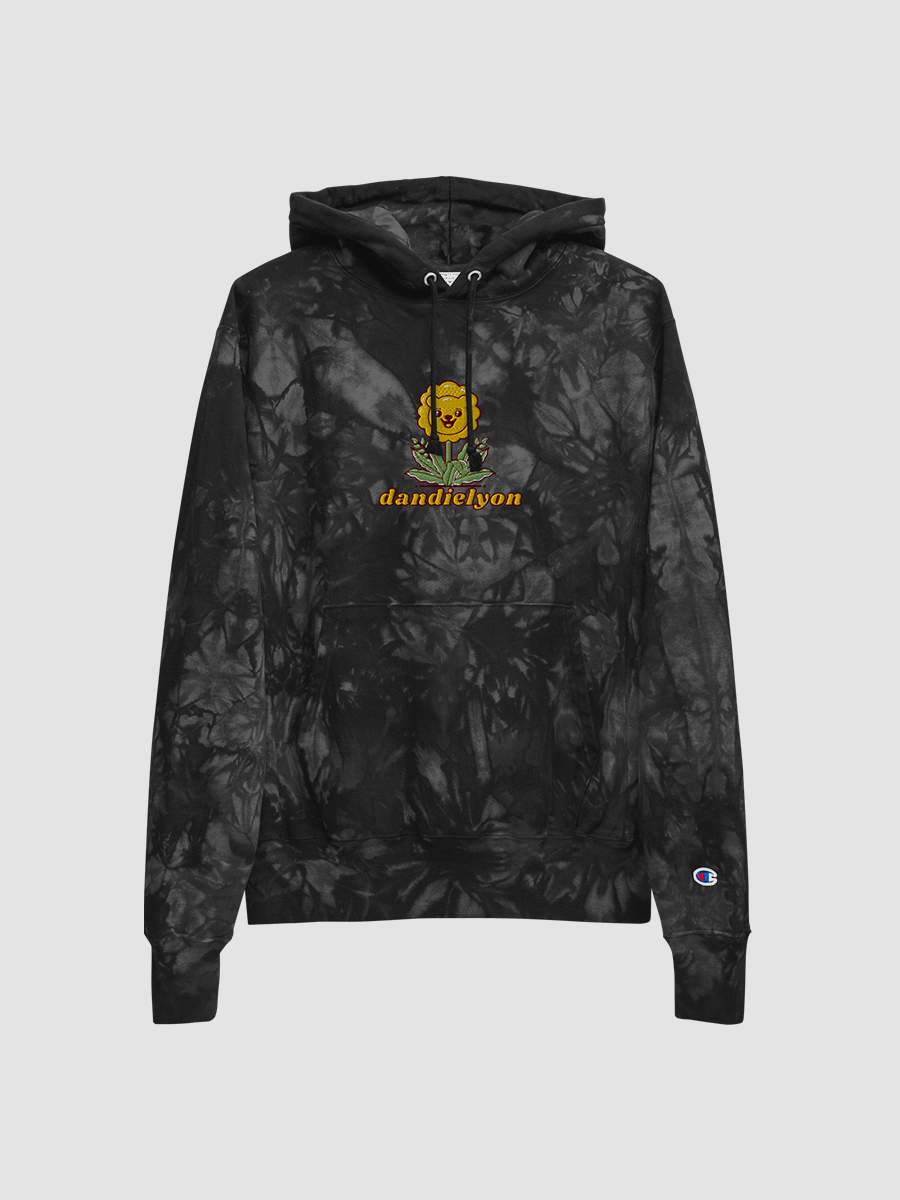 dandielyon Champion tie dye hoodie product image (3)