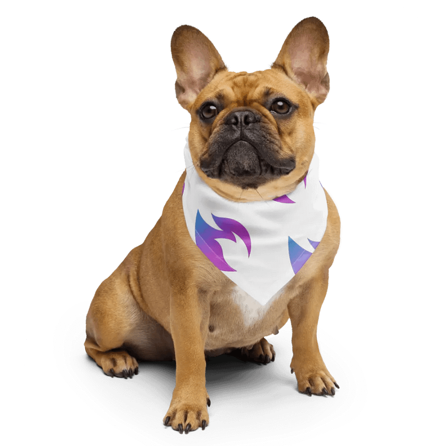 Rari Logo Bandana product image (1)