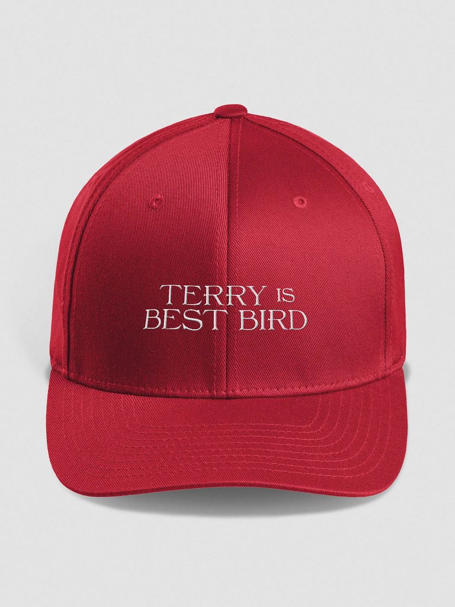 Non-Political Hat product image (1)