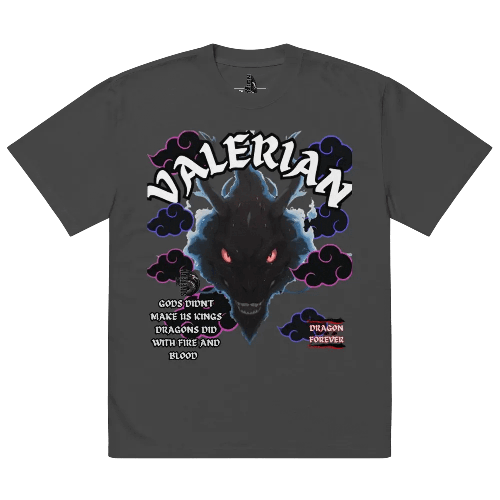 the VALERIAN oversized tee product image (9)