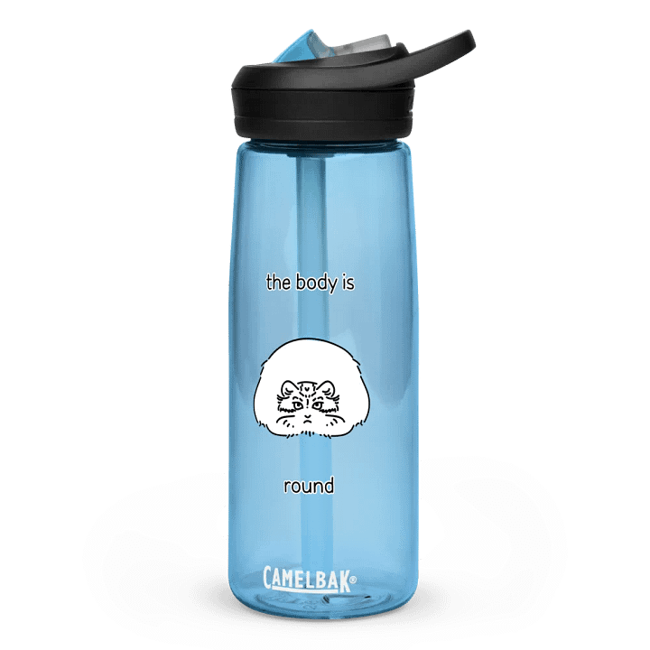 The Body Is Round - CamelBak Bottle product image (4)
