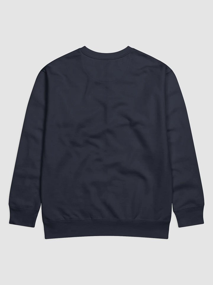 T5 FryWalker Sweater product image (8)