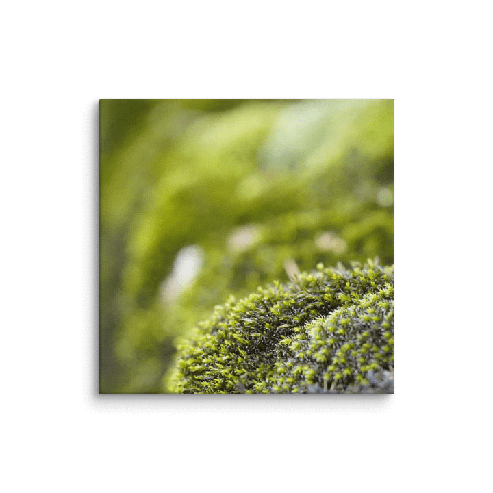 Moss Canvas product image (1)