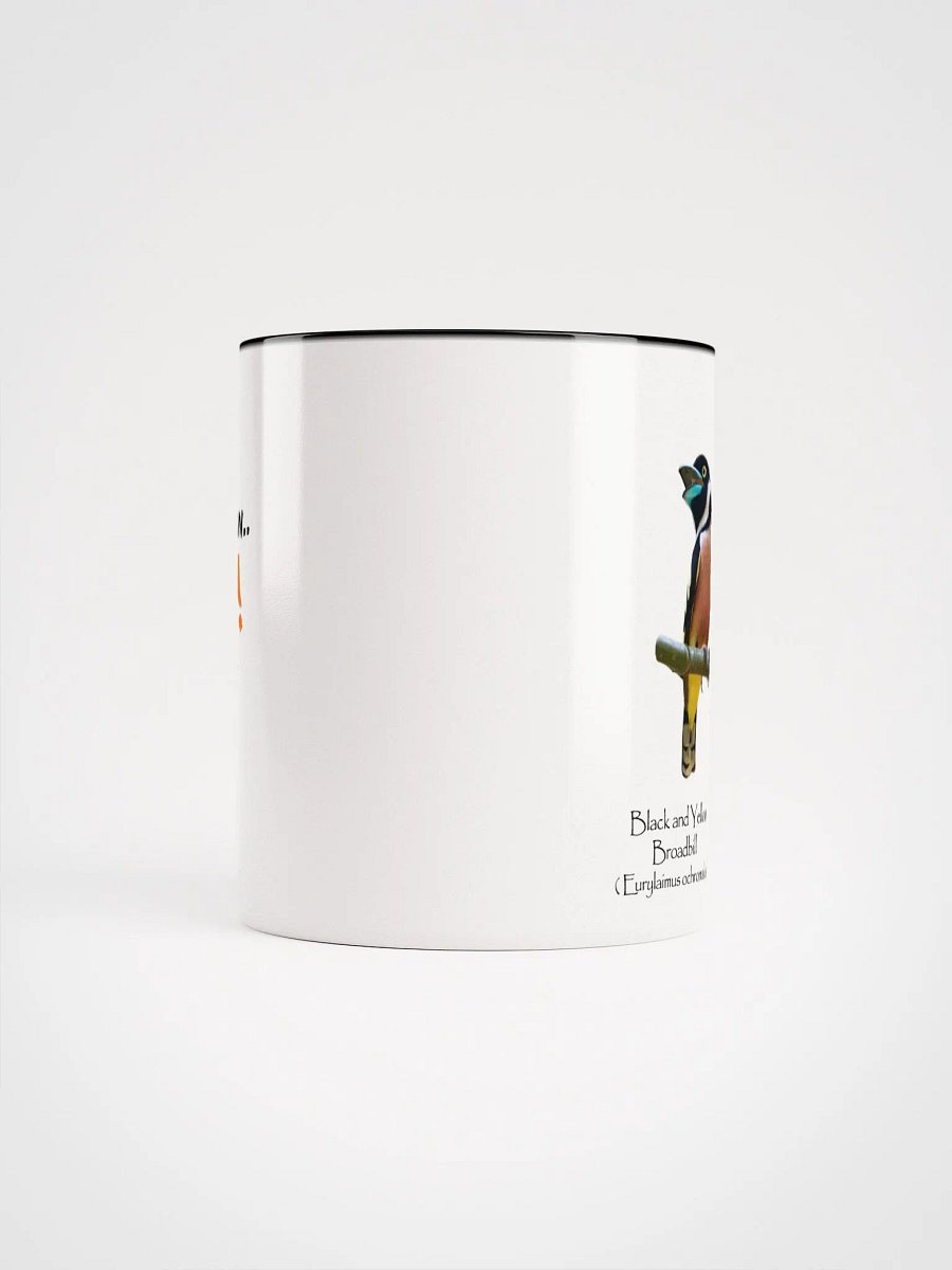 Black and Yellow Broadbill mug product image (46)