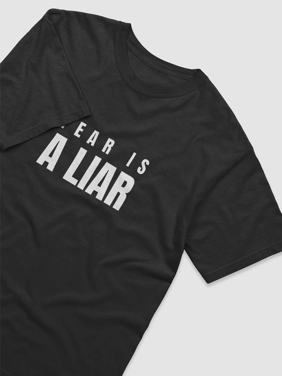 FEAR IS A LIAR product image (23)