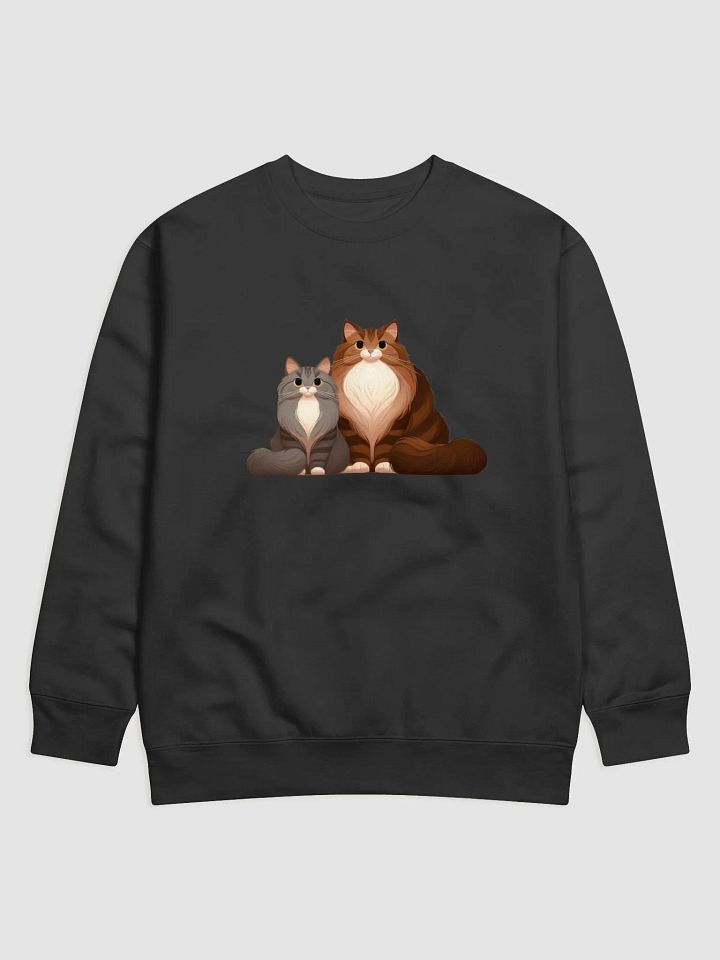 SAGE AND JASPER PULLOVER product image (1)
