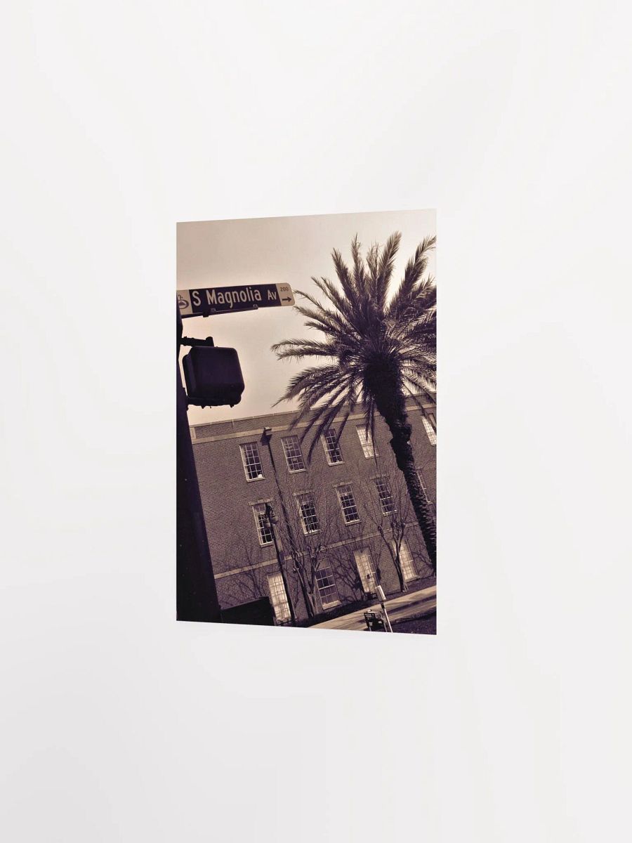 Magnolia Orlando product image (16)