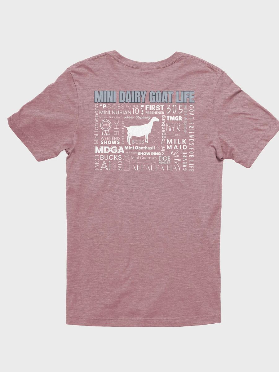 Mini Dairy Goat Life - Mini Lamancha product image (3)