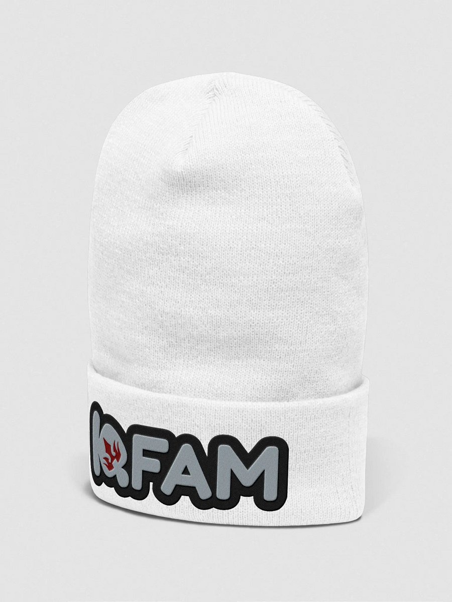 KQFAM Beanie (Multiple Colors) product image (42)
