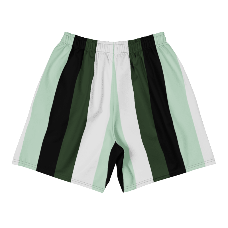 HIM Vintage Style Swim Shorts Green product image (2)