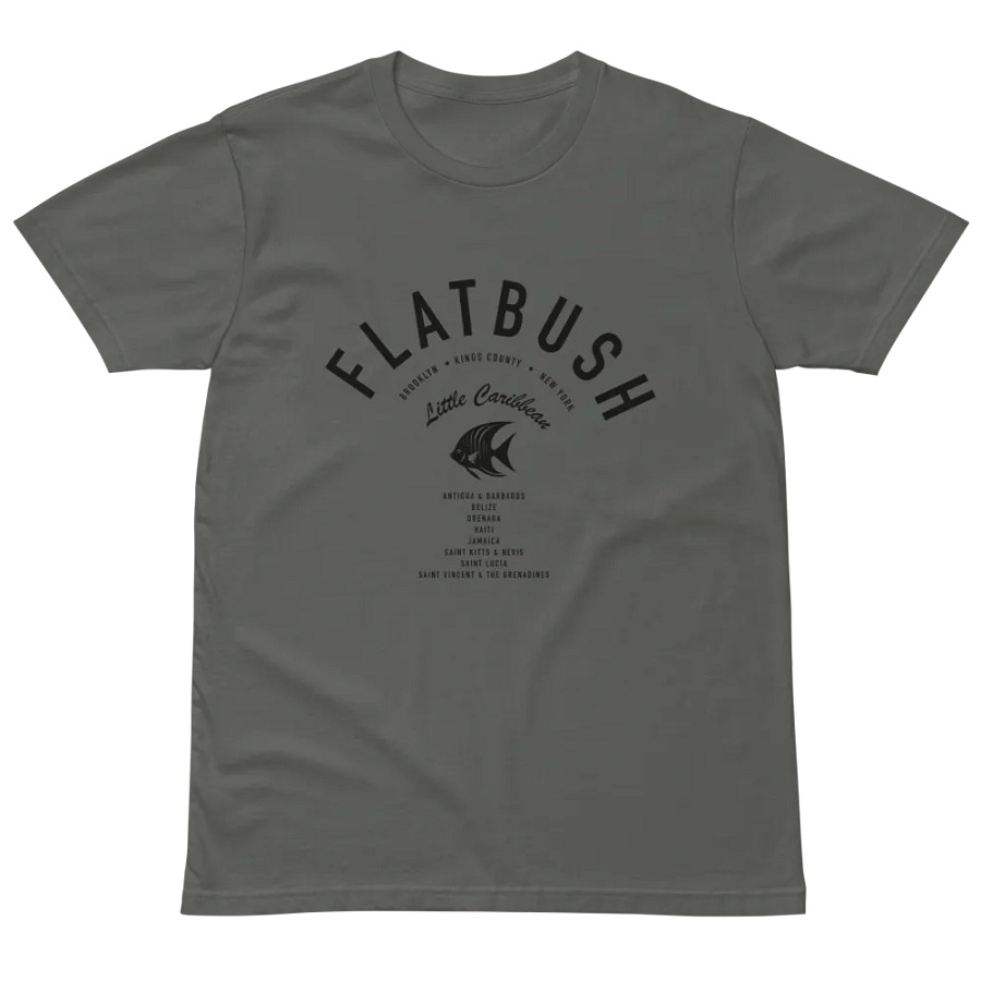 Flatbush Little Caribbean Gray Tee Sadie product image (2)