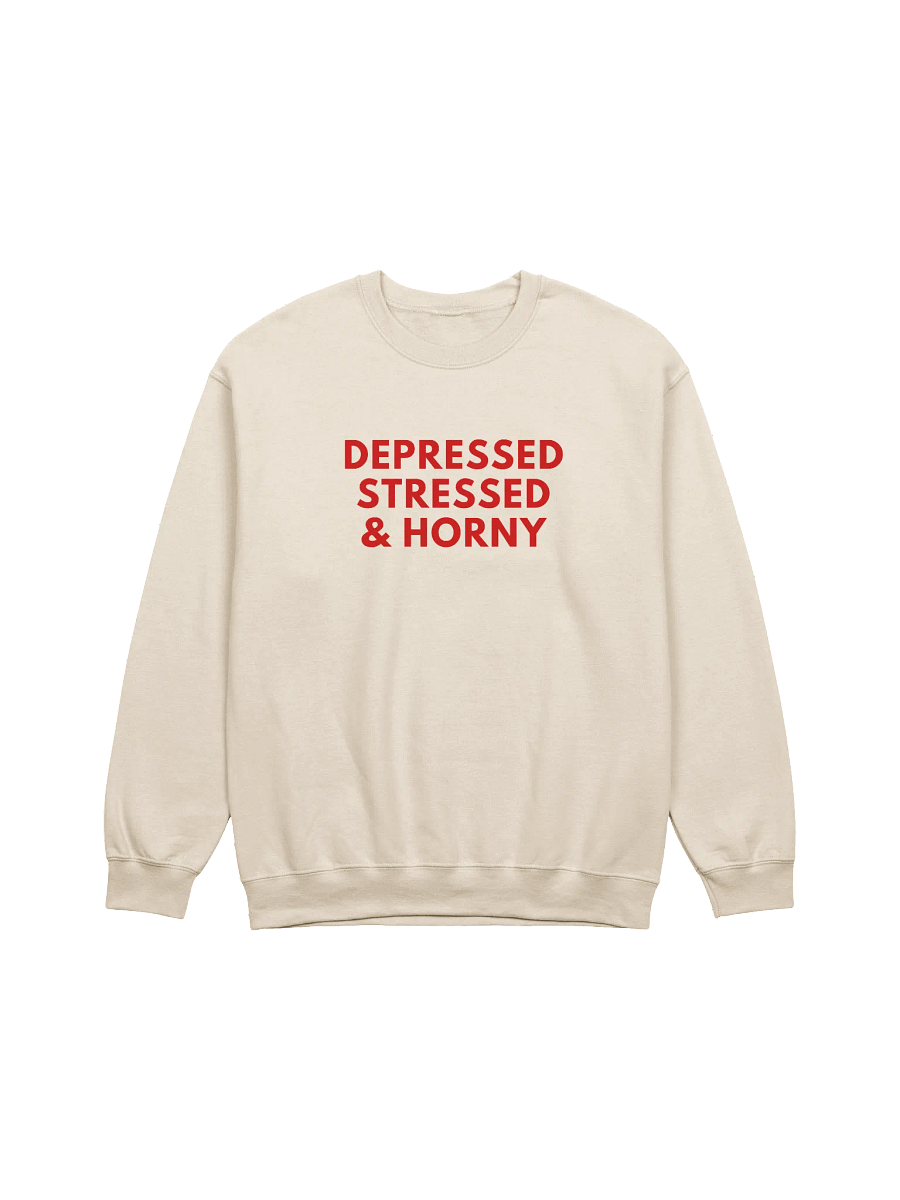 Depressed Stressed & Horny Sweatshirt product image (1)